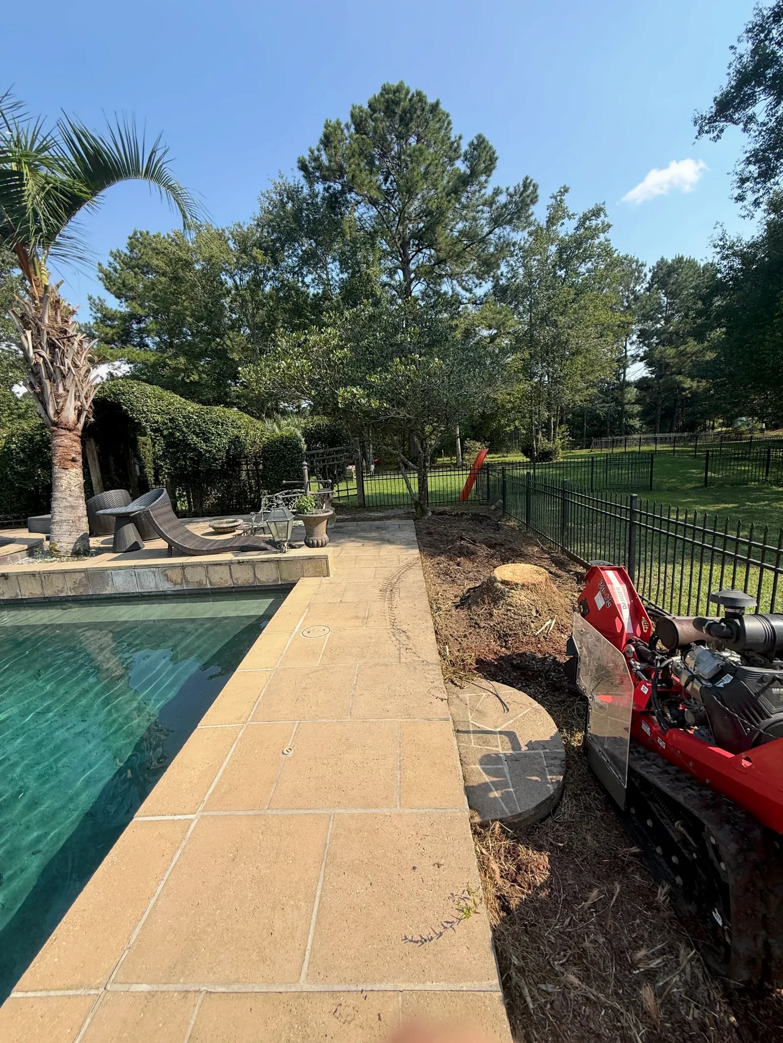 Compact tracked stump grinder working a stump in a narrow strip between a pool deck and wrought-iron fence